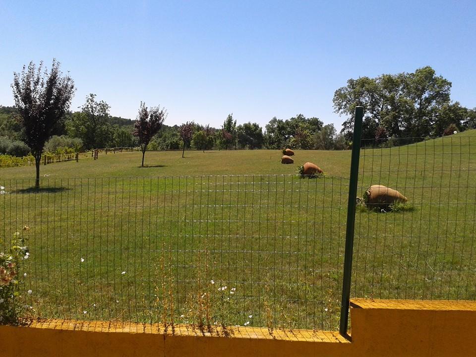 Quinta Da Mina Villa Monsanto Bagian luar foto