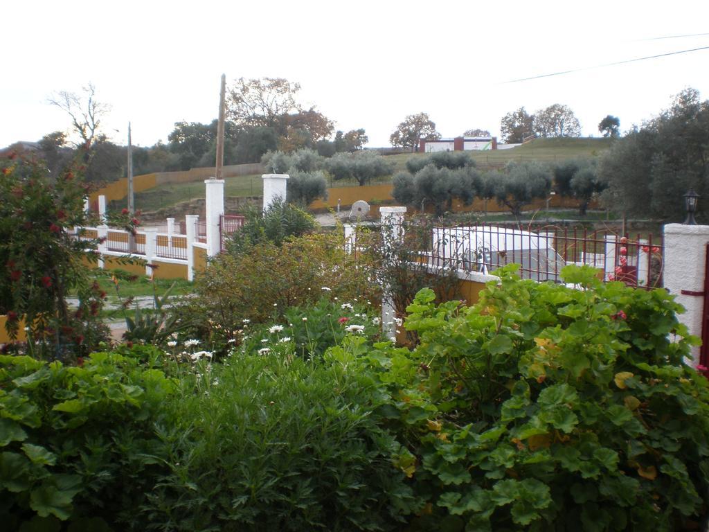 Quinta Da Mina Villa Monsanto Bagian luar foto